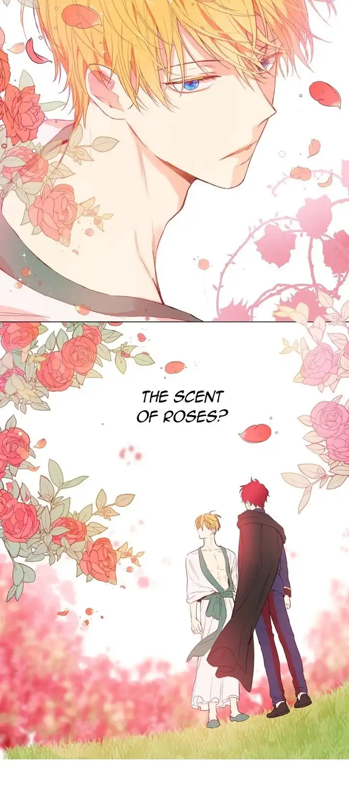 Suddenly Became A Princess One Day Chapter 48 20